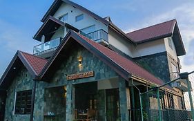 Top Vanice Nuwara Eliya